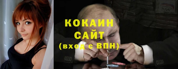 МДПВ Алексин