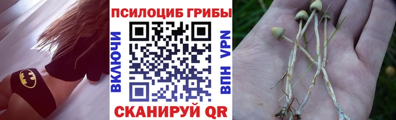 Псилоцибиновые грибы ЛСД  KRAKEN как зайти  Ленинск-Кузнецкий 